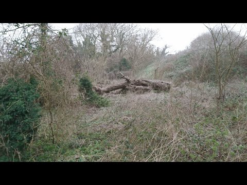 Walking about in New Addington Live! 31/12/2020 - Mobile Stream (159)