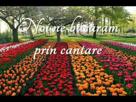 GRUPUL HAVA MARANATHA - Noi ne bucuram prin cantare