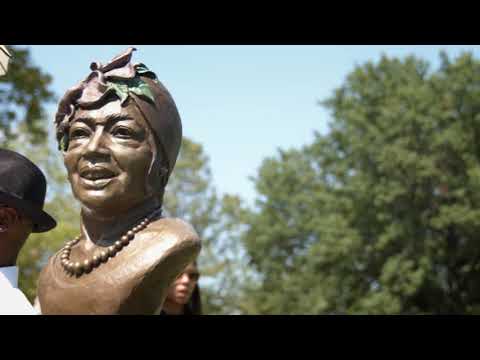Promotional video thumbnail 2 for Misty Lane Farms Performance Horses