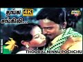 தங்க சங்கிலி மின்னும் பைங்கிளி தானே K 