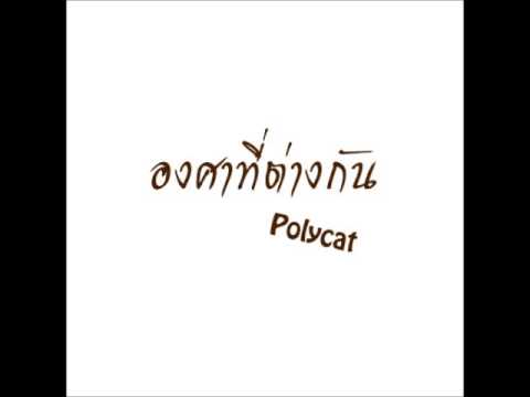 ซื้อเชื้อโรคม้า ไม่แรงสูบกัญชา