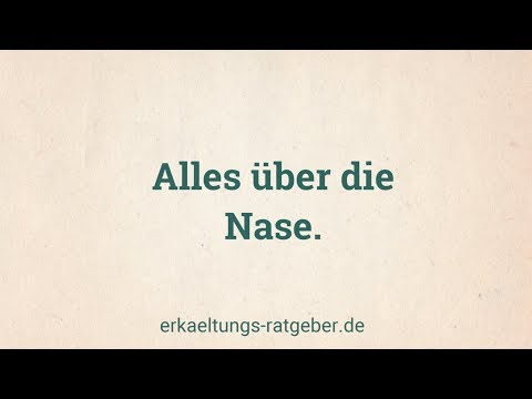Alles über die Nase - Funktion und Aufbau