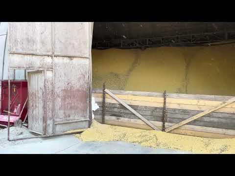 Зерновий склад GTK: Готовність до відправки