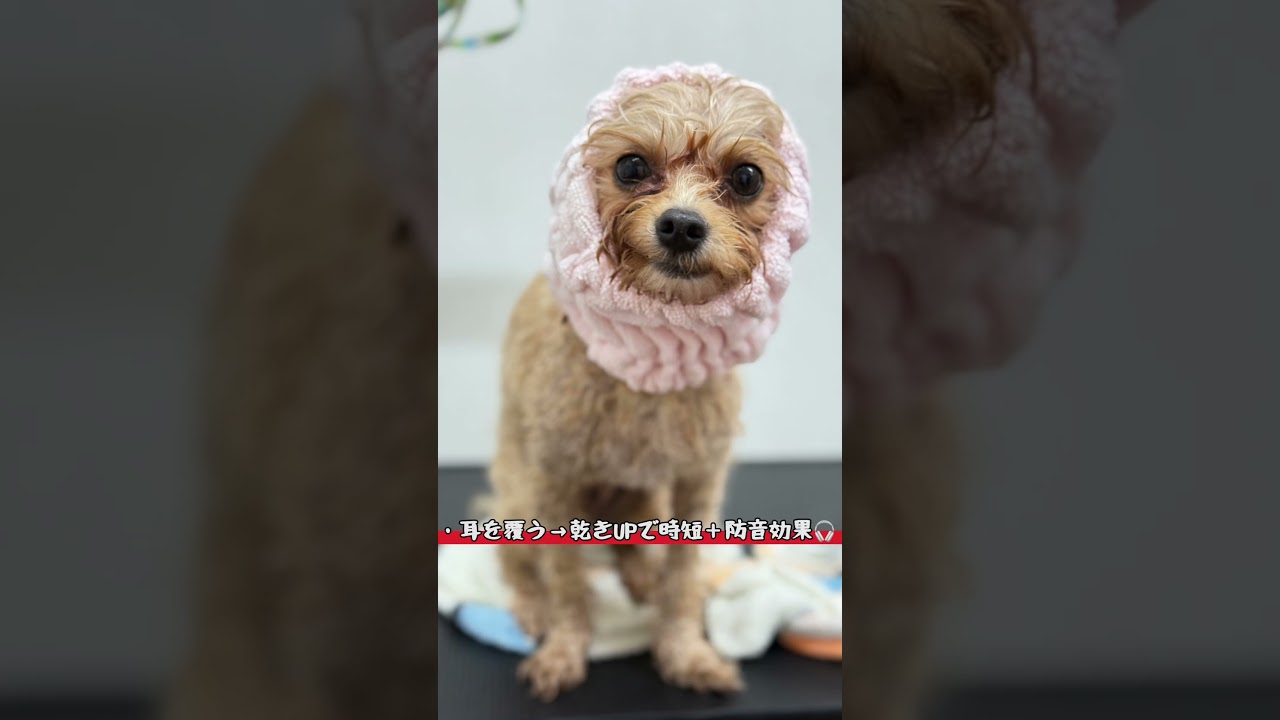 耳が乾きにくい問題