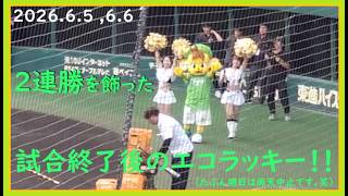 [2026.6.5 ,6.6] 普段とは異なるエコな衣装に身を包んで2連勝を飾った、試合終了後のコラッキー！ ＠SGLスタジアム～内野指定席(3塁)視点～ 【阪神タイガース】