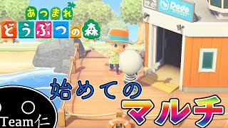 はじめての島訪問【あつまれどうぶつの森】#5