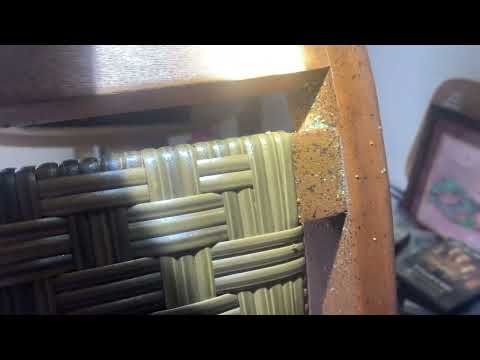 Computer Chair Full of Bed Bugs in Princeton Junction, NJ