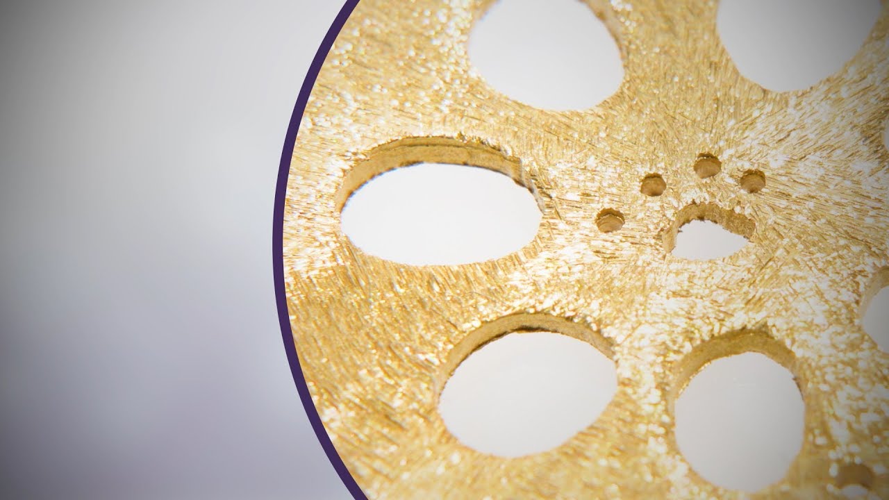 野菜に肉球！？