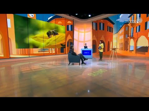 Siamo Noi, 19 maggio 2021 – Api, risorsa da difendere e preservare