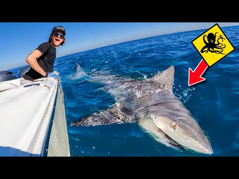 Catching SEA MONSTER SHARK On Shark Infested Beach! (Can Sharks Smell Blood?)