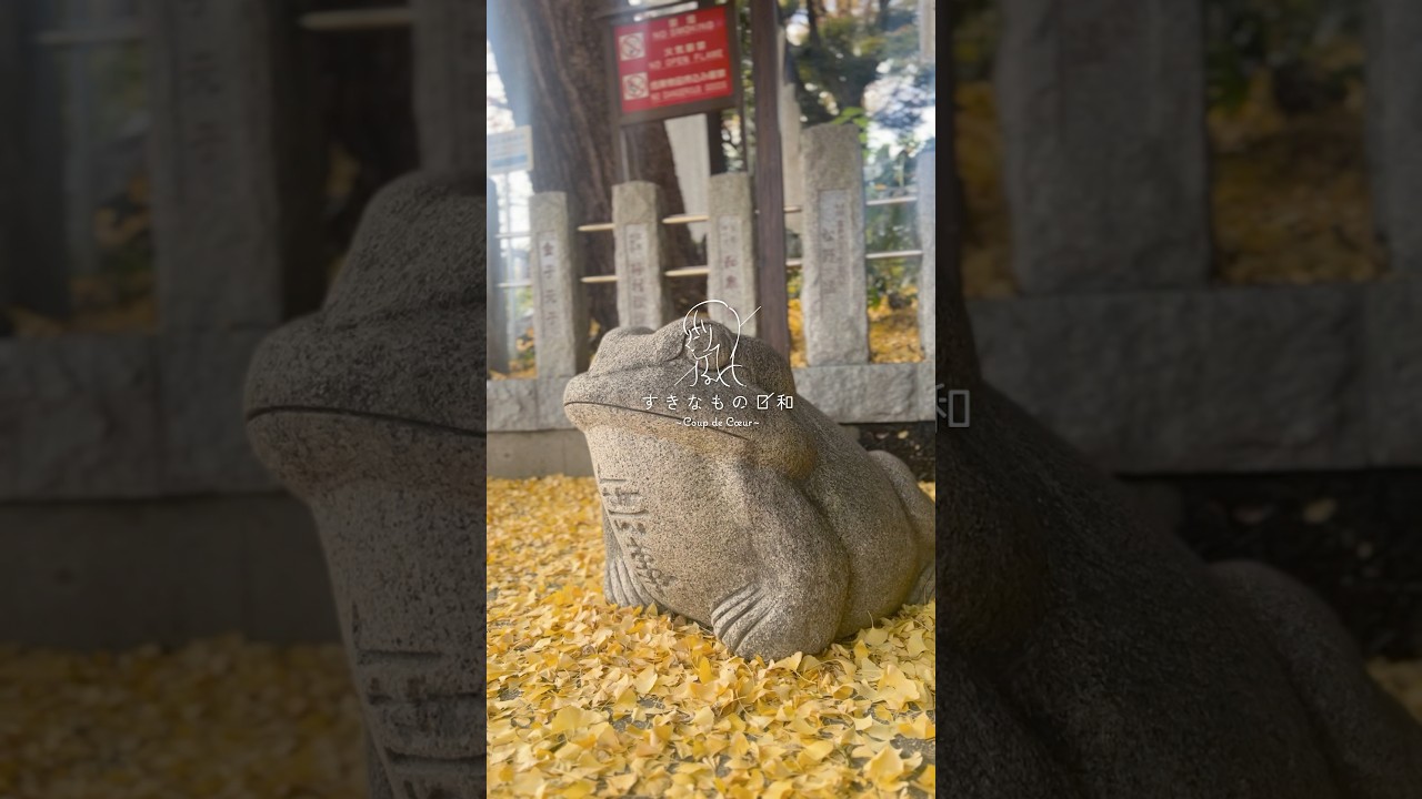 【すきなもの日和】秋の目黒不動尊とお鮨ランチ | Coup de Cœur Vlog