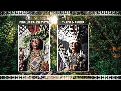 Ayahuasca cura, cura medicina (Huni Kuin)