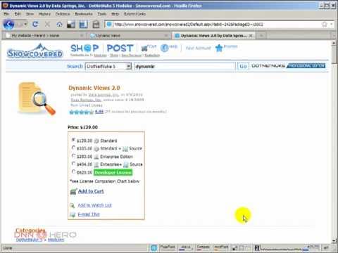 Using the Dynamic Views to display data from the Dynamic Forms in DotNetNuke part1/3 - Video #197