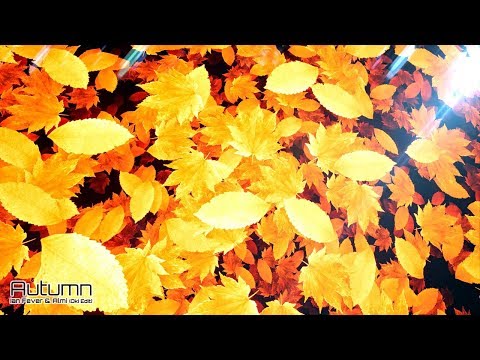 Autumn - Ian Fever & Almi (Oki Edit)