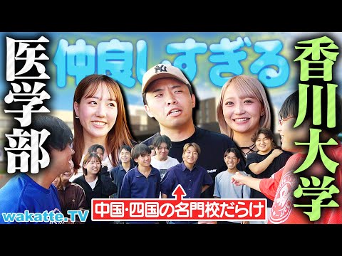 放射線技術学科 【四国の国立医学部】香川大学、結構お盛んです。多浪・地域枠・恋愛..そのリアルに迫る！【wakatte TV】#1326