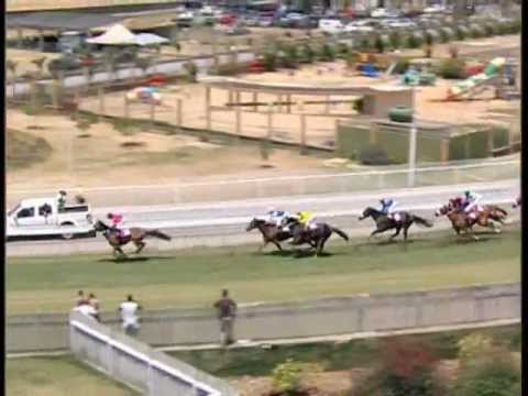 31st Meeting (29th Oct 2011) - Race 1 Winner PALM OF PEACE (iDates.mu)