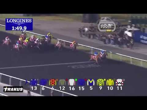 AFRICAN STORY - 2014 Dubai World Cup (G1, 2000m)