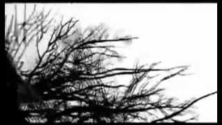 Masters Of Reality - Rabbit One