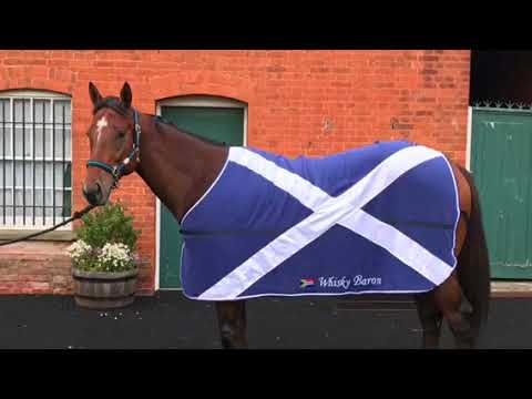 Whisky Baron Newmarket