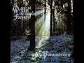 Paramæcium - Within The Ancient Forest (Full Album)