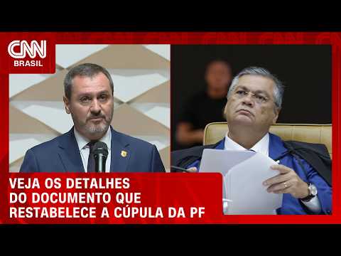 Entenda os principais argumentos de Dino que restabeleceu Andrei na PF | BASTIDORES CNN