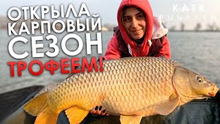 Ссылка