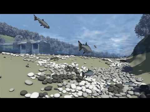 IÖW: Alles im Fluss