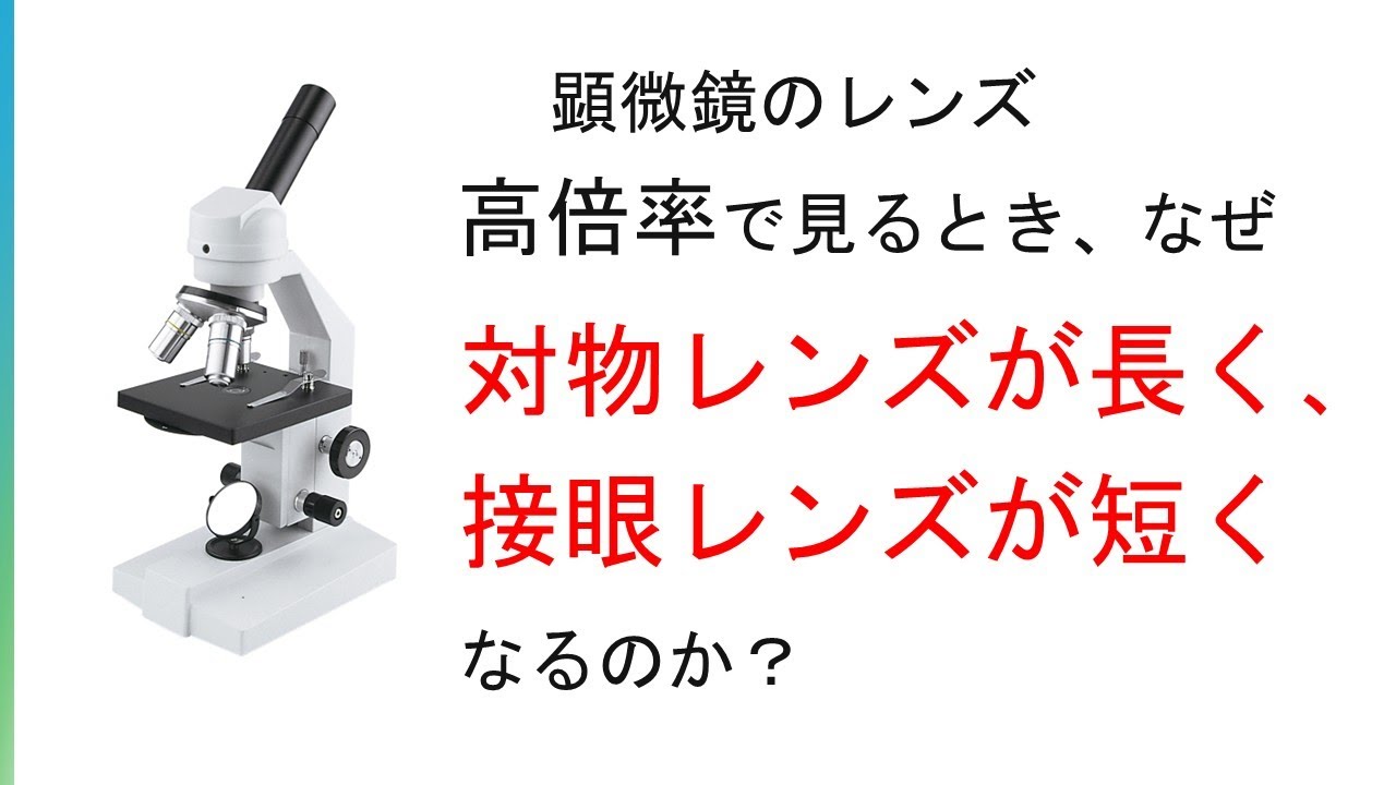 顕微鏡　倍率を高くすると、なぜ対物レンズは長くなり、接眼レンズは短くなるのか？（訂正版）