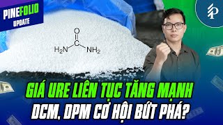 Giá Ure thế giới liên tục tăng mạnh có phải là cơ hội bứt phá cho DCM, DPM?  | PineFolio