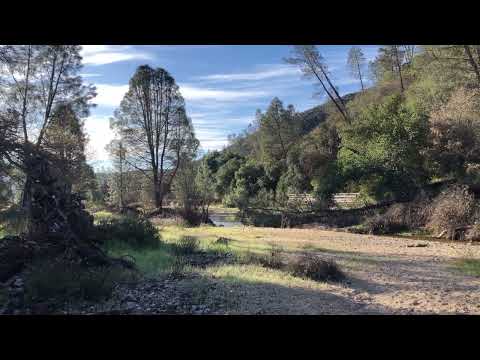 A beautiful spot along side the West Fork of Chalon Creek.