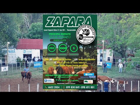 Remata Ernesto Esteves y Cia - Local Zapará Tacuarembó- 25 de Marzo de 2026