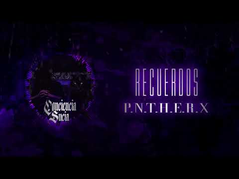 PANTERX93 - RECUERDOS