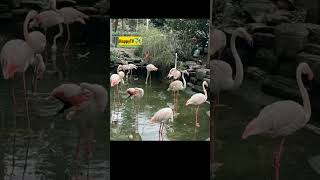 5 Best Park Must Visit in Ho Chi Minh City Vietnam #shorts #hochiminhtoday #vietnamtourism