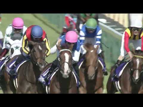 Admire Mars - 2019 NHK Mile Cup G1