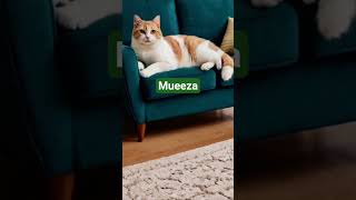 Download lagu Surah Al-Mulk#subscribe @Oces-r3z mp3 Download lagu Surah Al-Mulk#subscribe @Oces-r3z mp3