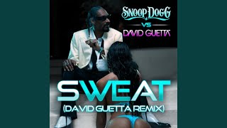 Wet (Snoop Dogg Vs. David Guetta) (Remix)