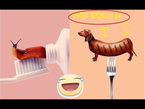 This Artist Combines Unexpected Objects Into One Confusing Artwork Video