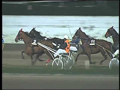 Trotto 28/02/2016 - 8° corsa