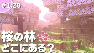 【マインクラフト】超簡単な「桜の林バイオーム」の見つけ方＆桜の木の植林場のコツ【統合版(BE)】1.20