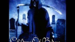 Children of Bodom - Taste Of My Scythe