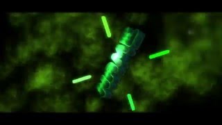 Youtube intro (Freeway)