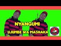 SALAWA NYANGUMI UJUMBE WA MASHAKA AUDIO OFFICIAL MSAMBAZAJI DOTO K GASHI