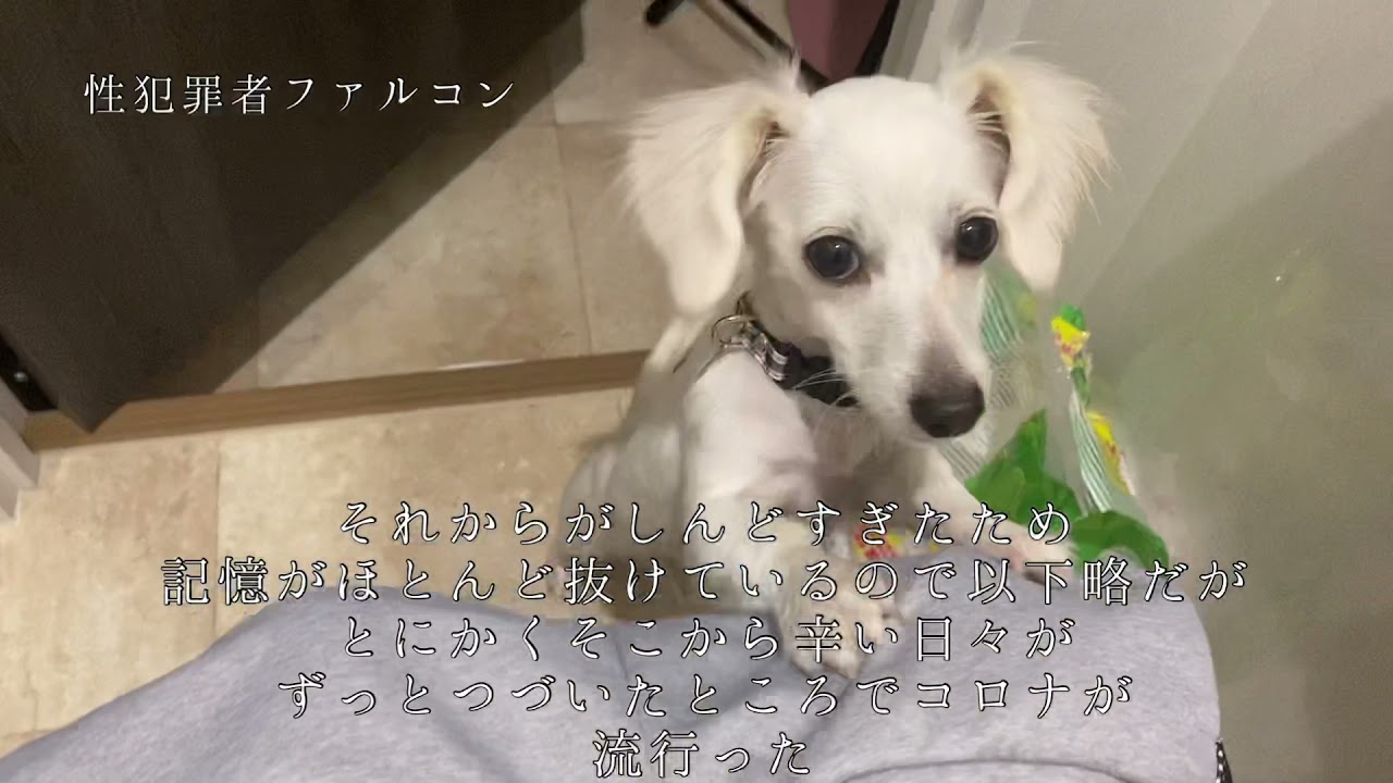 どっちの私が本当の私かわからんが、これが私だ