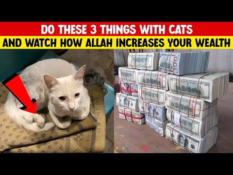 Islamic Journey World and Islamic Journey of Miracles