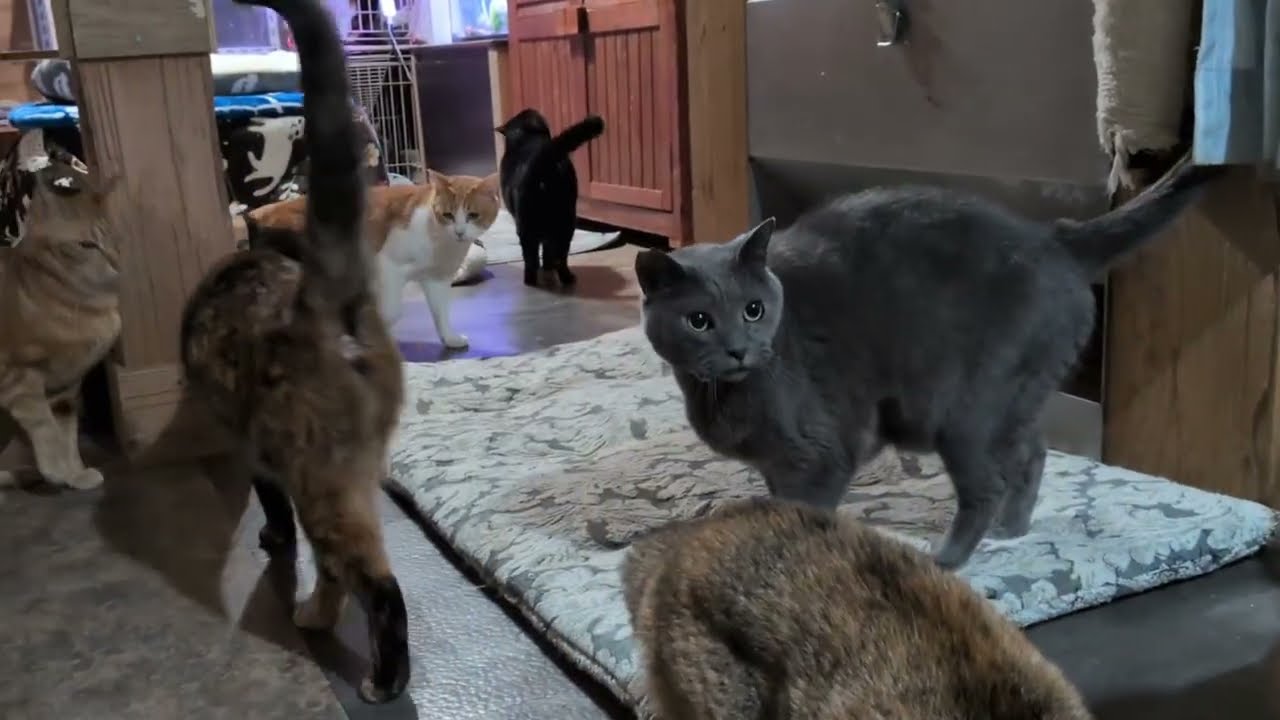 この時期に多いオシッコトラブル　やはりこのパウチが一番いいのかも