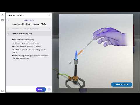 Pearson Interactive Labs | Aseptic Technique