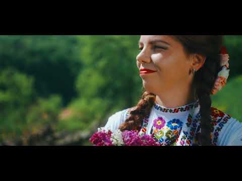 Zina Dobos   Cate mama n -ai gandit