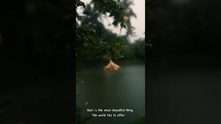 Download lagu Rainy Cinematic Video   Shot on Lumix S5 mark ii #rain #rainyday #rainsounds mp3