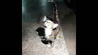 Download lagu comment 👊🏻💔 #babymonster #pharita #minji #njz #joyuri #heartryan #popular #bmriru mp3