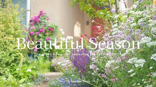 Permanent Edition-2024 Spring Garden Compilation Natural Garden of Roses and Perennials Gardening